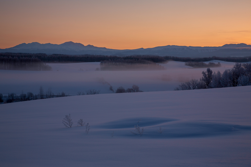 朝霧湧く旭岳と雪の中で眠るビート