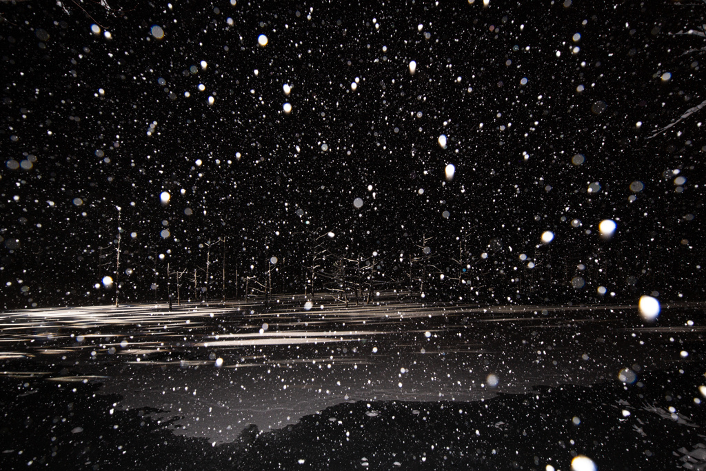 粉雪舞い散る夜の池