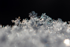 雪の結晶