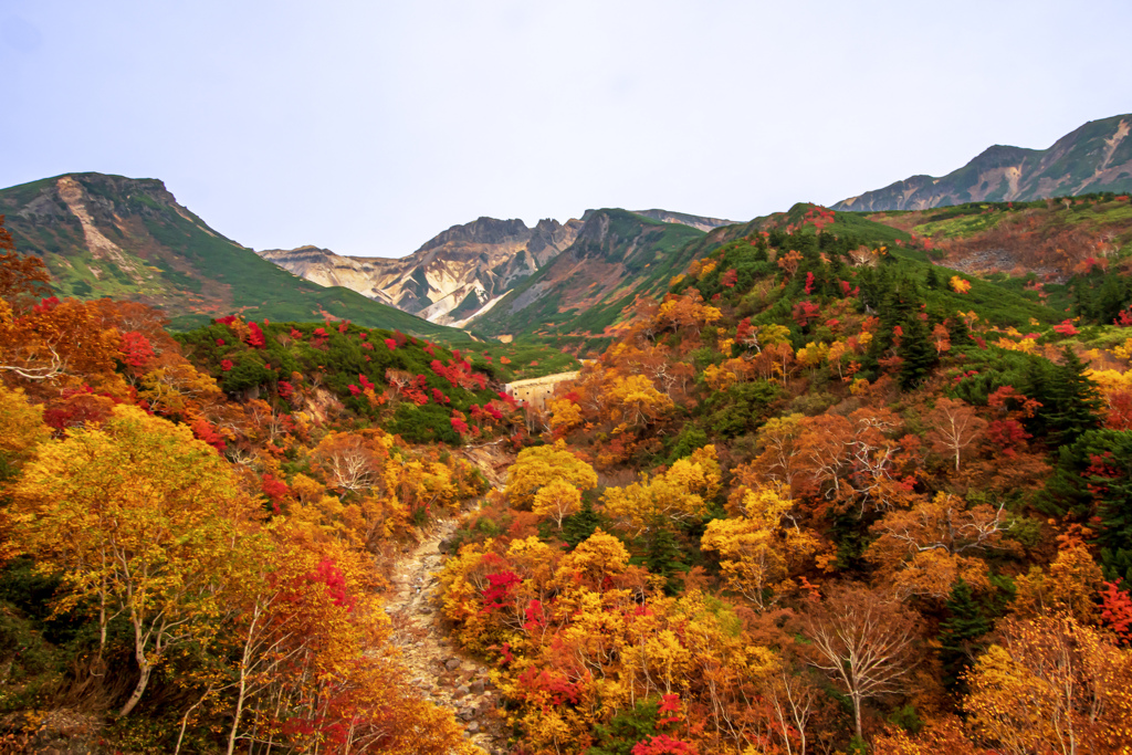 ピークを過ぎ始めた紅葉