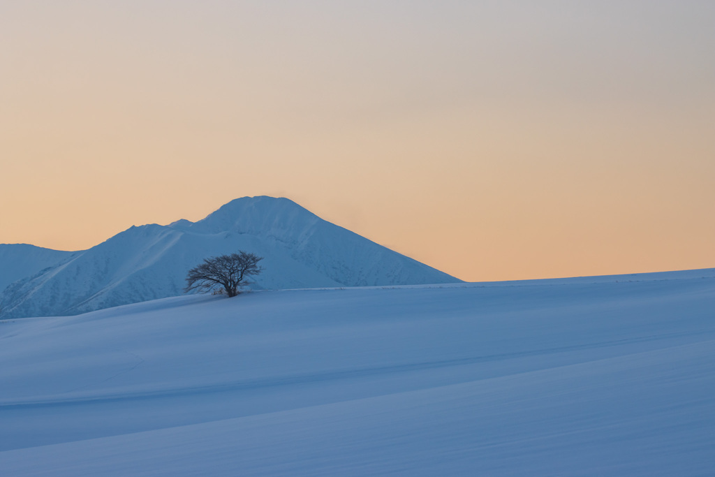 雪が綺麗なうちに君を撮りたくて