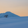 雪が綺麗なうちに君を撮りたくて