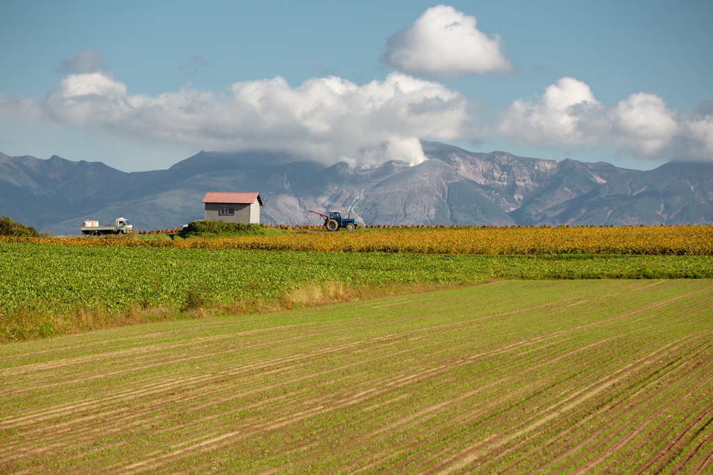 十勝岳の噴煙と赤い小屋