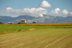 十勝岳の噴煙と赤い小屋