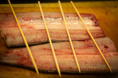 鰻　　《　閲覧注意　》