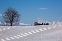 薄くムラなく撒かれた融雪剤