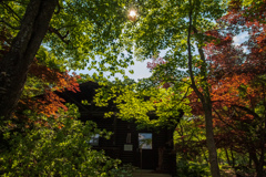 紅葉の庵