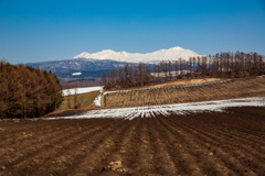 旭岳 残雪と畝