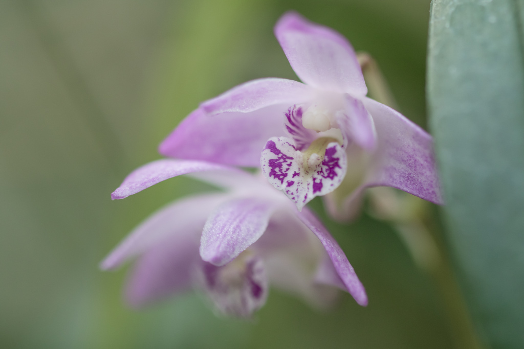 うつむかないで