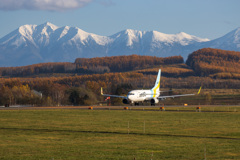 就実の丘のカラマツと山と飛行機