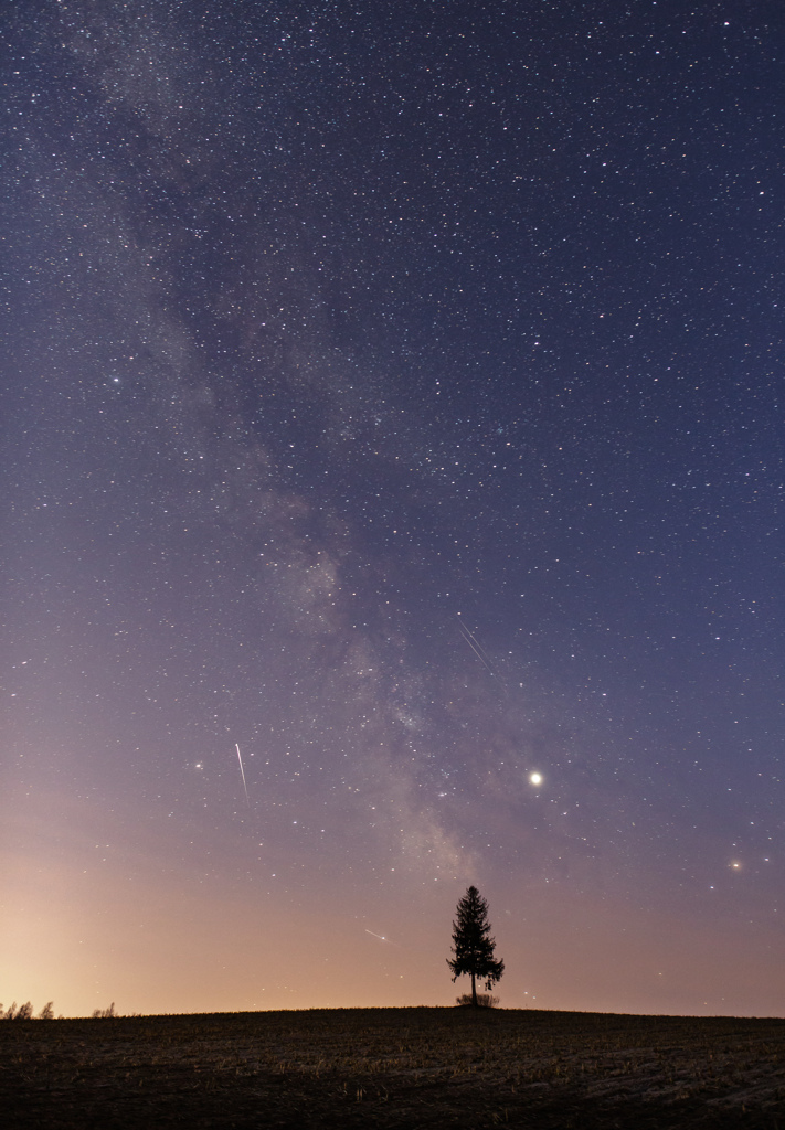 トウキビ畑の木と お星様