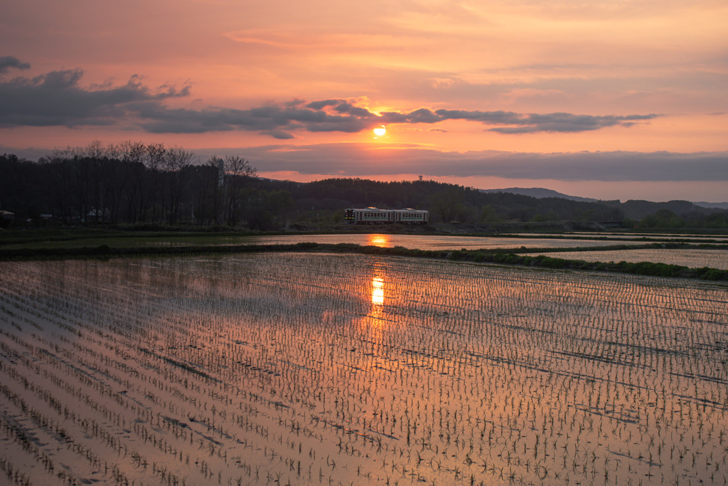 夕暮れの富良野線