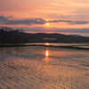 夕暮れの富良野線