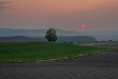霞む夕暮れ