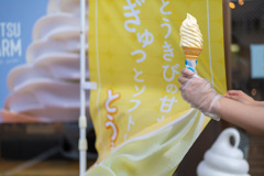 ソフトクリームは嫌いだけど