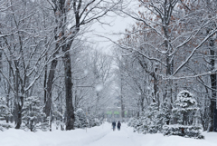 雪の公園
