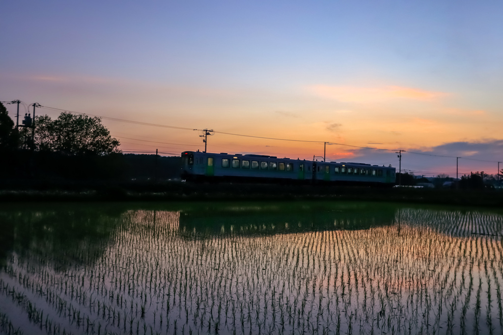 夕暮れの富良野線