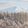 旭岳と樹氷