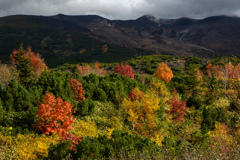 十勝岳噴火口と紅葉