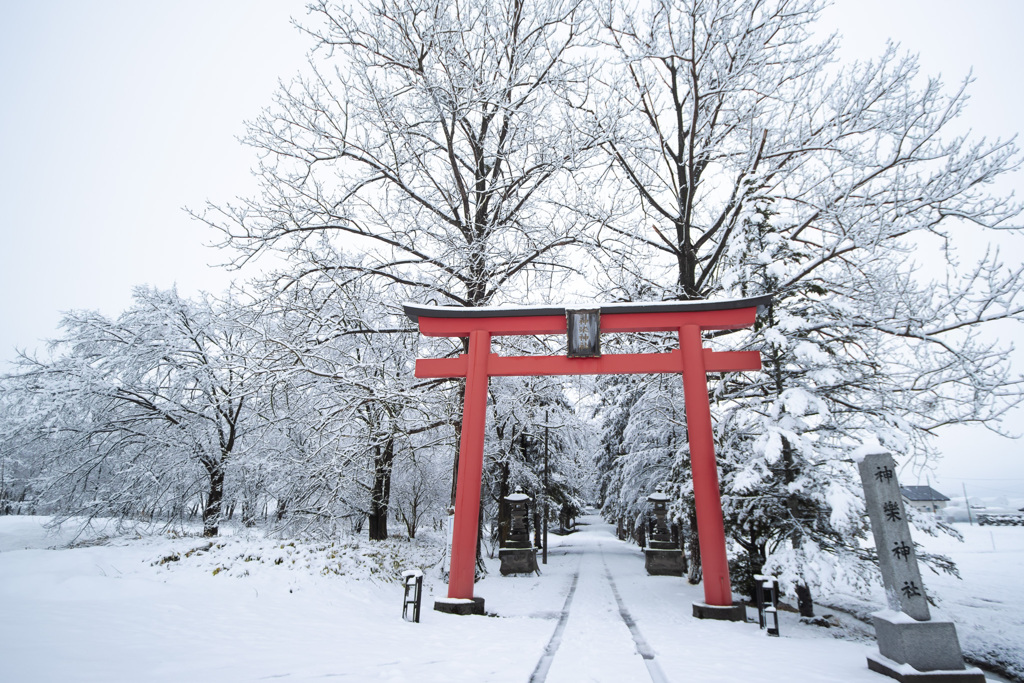 なごり雪の朝