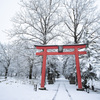 なごり雪の朝