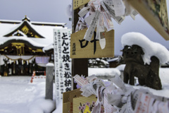 やっと行けた初詣