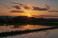 元爺ちゃんの田んぼの夕焼け