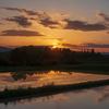 元爺ちゃんの田んぼの夕焼け
