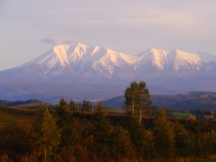 雪を被るオプタテシケ山