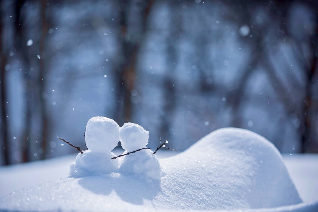 雪だね、寒くないかい？