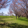 東部中央公園