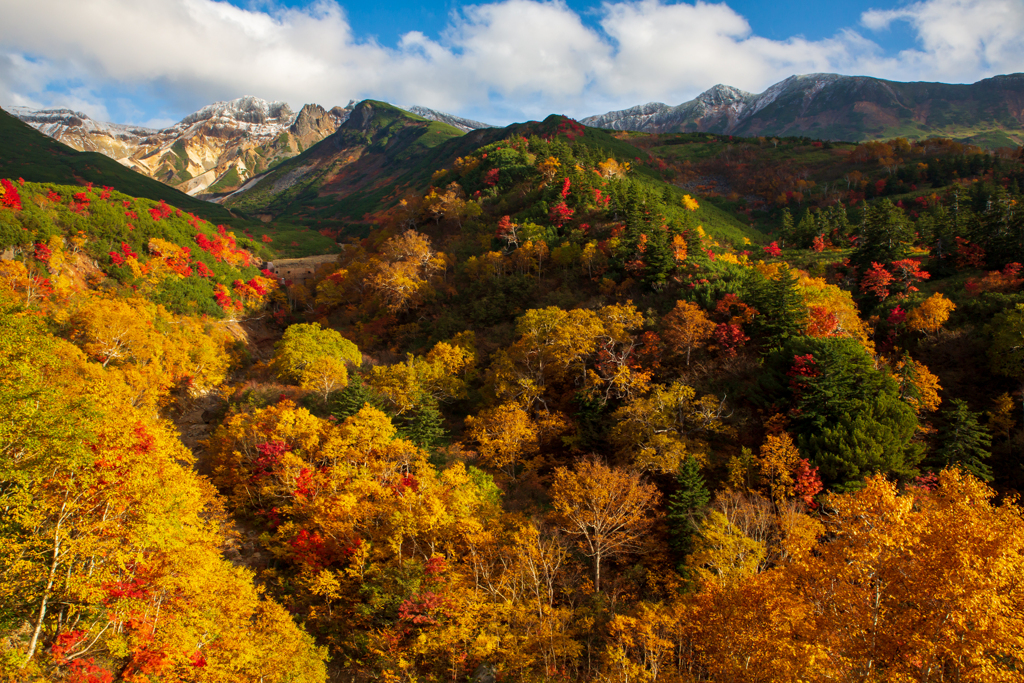 十勝岳温泉