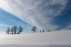 マイルドセブンの雲