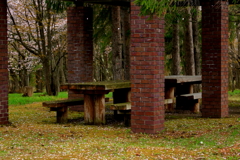 桜散る公園のベンチ（失敗作