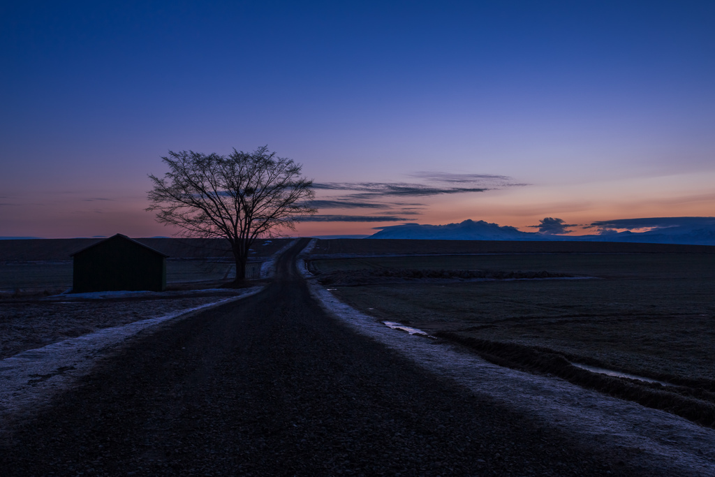 blue  hour