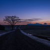 blue  hour