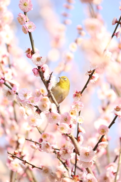 37CE651A-4E5D-4C9F-A2E6-285FD5AF5526