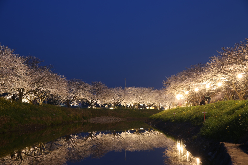 BBD9F36E-F035-4798-AC6F-EA3BFA6F56C5