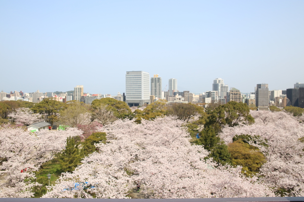 55B49B17-E7F3-4E76-8695-75A4AEAE8C60