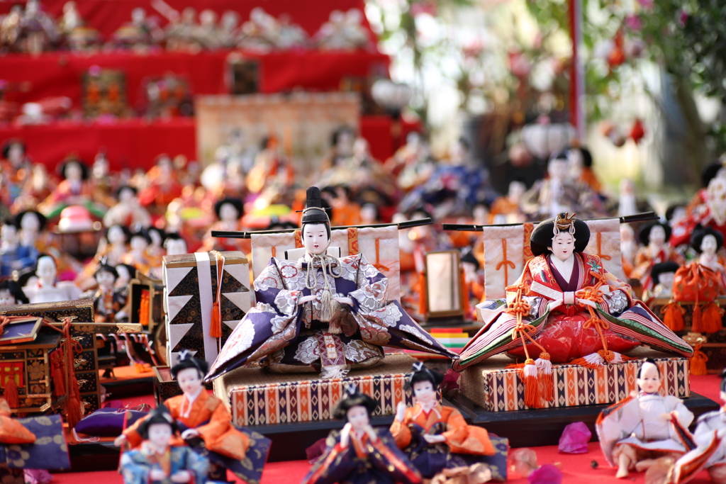 E88A550E-3507-4F49-B049-95F302DE8EEB