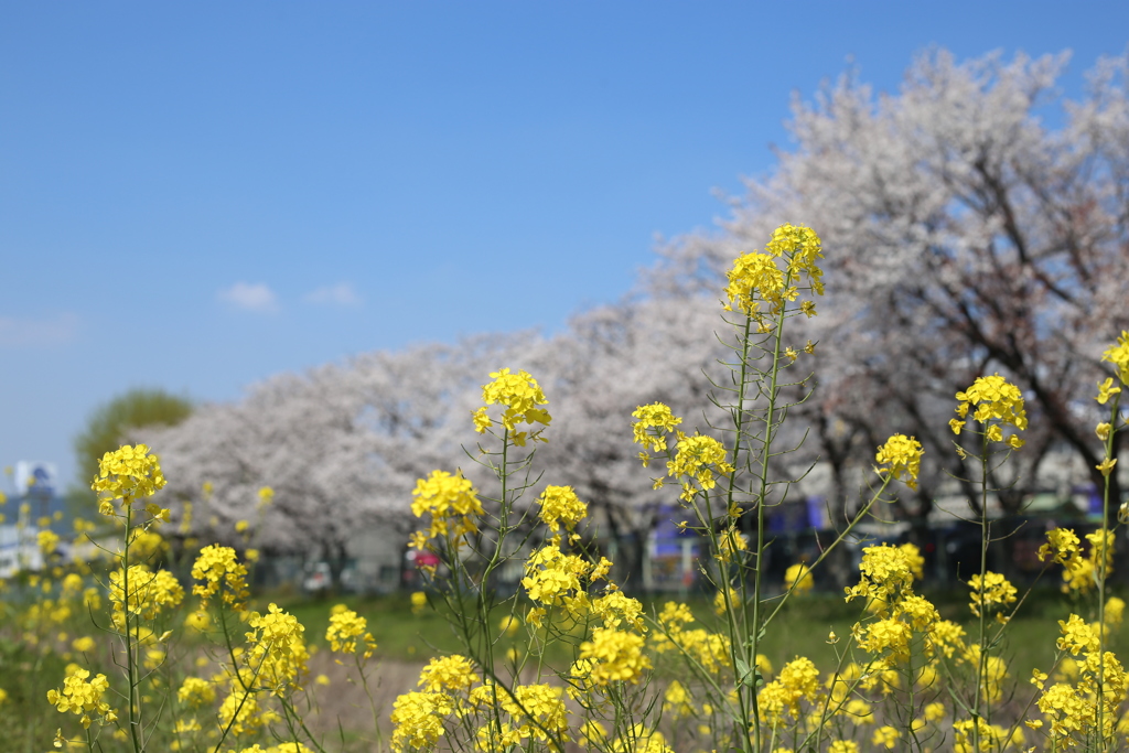 B1BF14F9-BD68-4E9C-9A86-BF9D9E772BCB