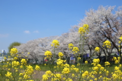 B1BF14F9-BD68-4E9C-9A86-BF9D9E772BCB