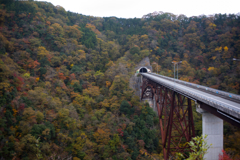 広島県神石高原町紅葉