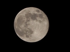 満月4/30