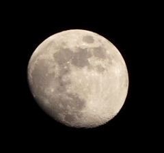 月4/27