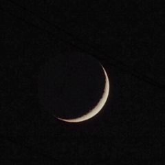 三日月