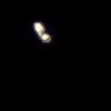 星だと思ったら‥