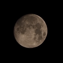 月4/29am