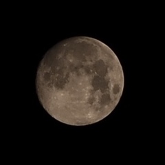 月4/29am