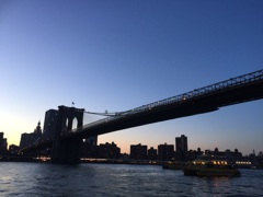 NY